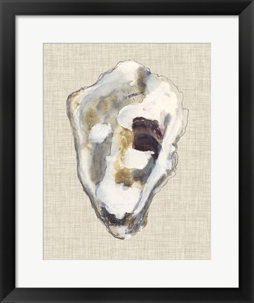 Framed Oyster Shell Study II Print