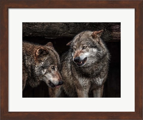 Framed Wolfpack Print