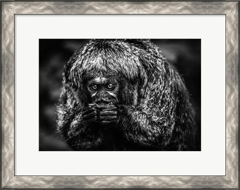 Framed Little Monkey Black &amp; White Print