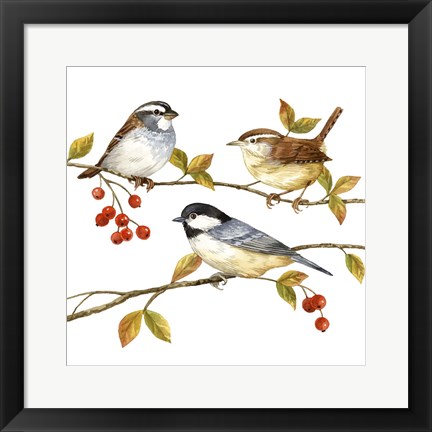 Framed Birds &amp; Berries I Print