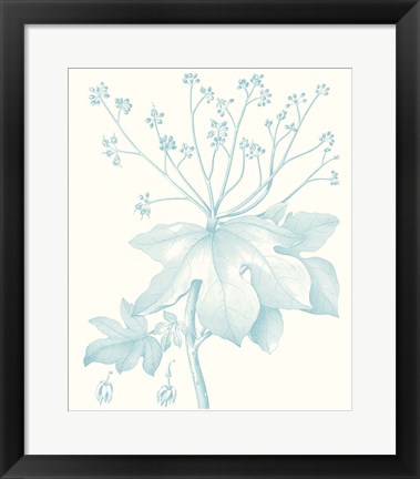 Framed Botanical Study in Spa I Print
