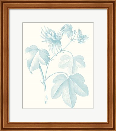 Framed Botanical Study in Spa IV Print