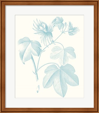 Framed Botanical Study in Spa IV Print