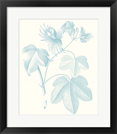 Framed Botanical Study in Spa IV Print