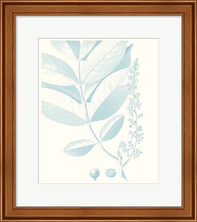 Framed Botanical Study in Spa VI Print