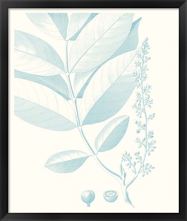 Framed Botanical Study in Spa VI Print