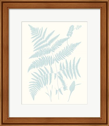 Framed Serene Ferns I Print