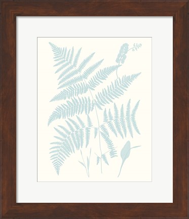 Framed Serene Ferns I Print