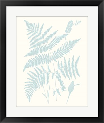 Framed Serene Ferns I Print