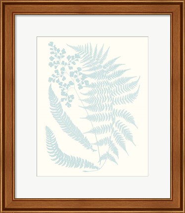 Framed Serene Ferns II Print