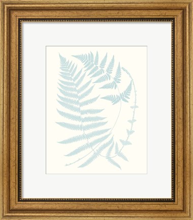 Framed Serene Ferns III Print