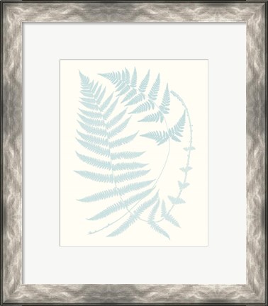 Framed Serene Ferns III Print
