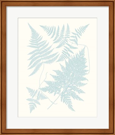 Framed Serene Ferns IV Print