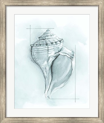 Framed Coastal Shell Schematic I Print