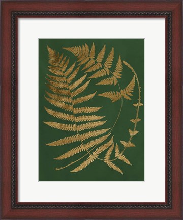 Framed Gilded Ferns IV Print