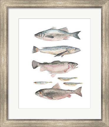 Framed Fish Composition I Print