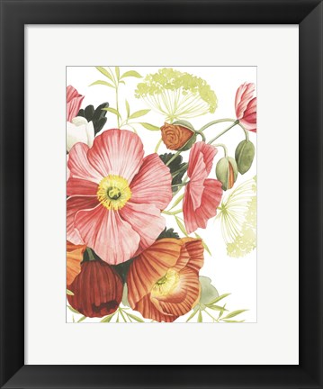 Framed Blossom Solstice I Print