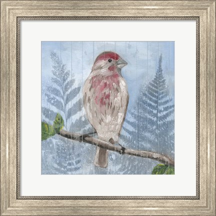 Framed Eastern Songbird I Print