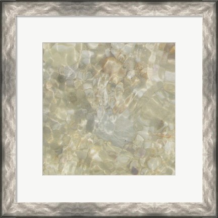 Framed Shell Squares III Print