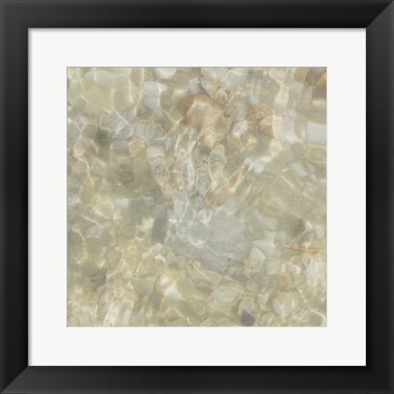 Framed Shell Squares III Print