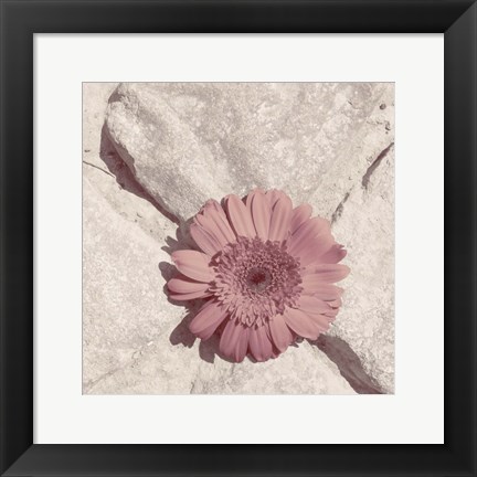 Framed Stone Blossom II Print