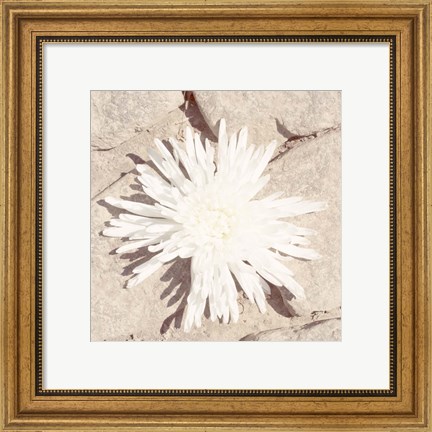 Framed Stone Blossom III Print