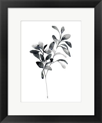 Framed Brume Botanical I Print