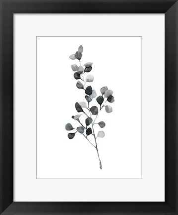Framed Brume Botanical III Print