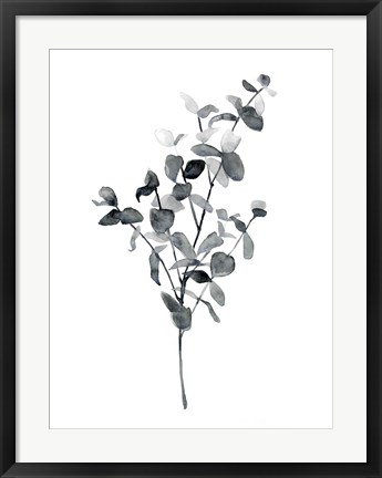 Framed Brume Botanical IV Print