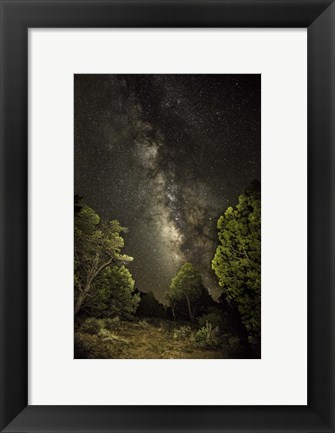 Framed Stargazer 4 Print