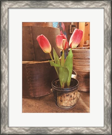 Framed Tulip Simplicity Print
