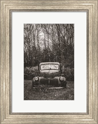 Framed Bumper in Weeds Print