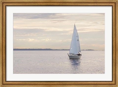 Framed Sailboat in Semiahmoo Bay Print