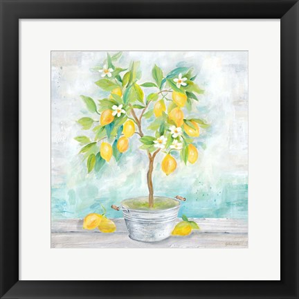 Framed Country Lemon Tree Print