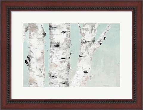 Framed Birch Tree Close Up Print