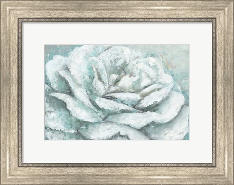 Framed White Rose Splendor Print