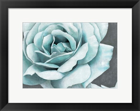 Framed Rose Bloom Print