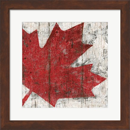 Framed Canada Maple Leaf II Print