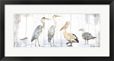 Framed Birds of the Coast Rustic Panel Print