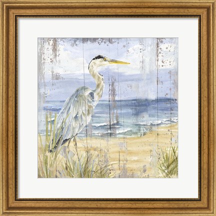 Framed Birds of the Coast Rustic I Print