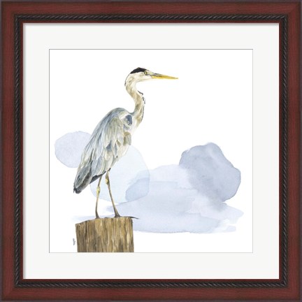 Framed Birds of the Coast on White I Print