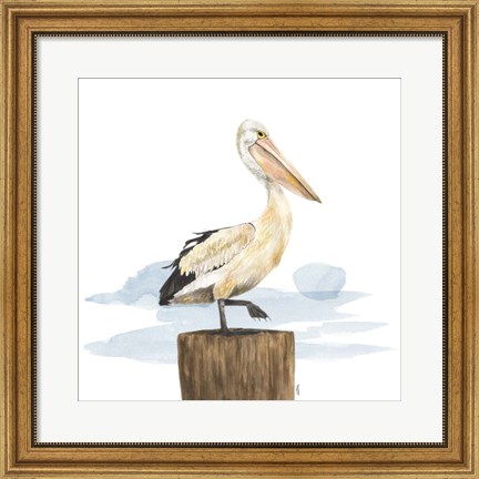 Framed Birds of the Coast on White III Print
