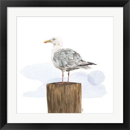 Framed Birds of the Coast on White IV Print