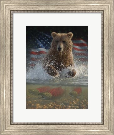 Framed Brown Bear Fishing America Print