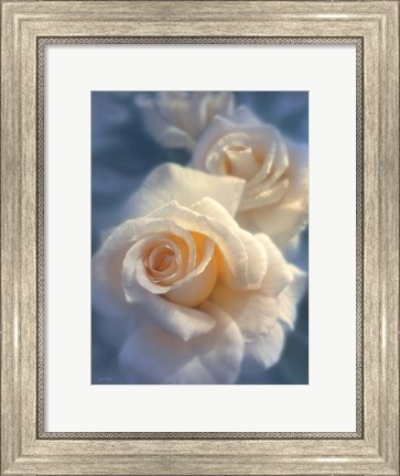 Framed White Roses - Unforgettable Print