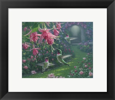 Framed Hummingbird Haven Print