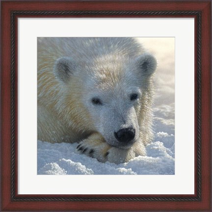 Framed Polar Bear Club Print