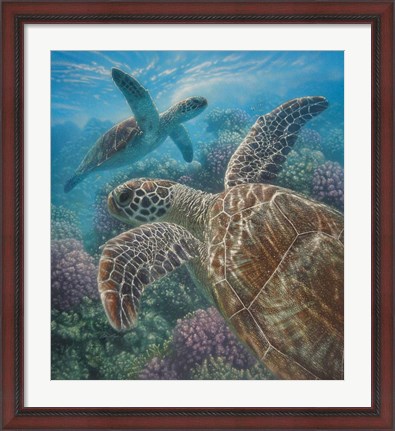 Framed Sea Turtles - Turtle Bay Print