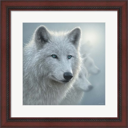 Framed Arctic Wolves - Whiteout Print