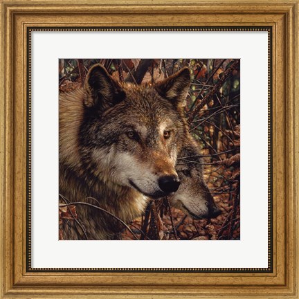 Framed Autumn Wolves Print
